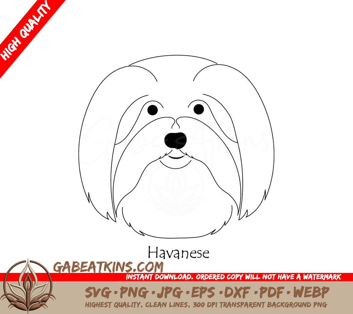 Havanese Dog SVG - Drawing, Dog Face Portrait SVG