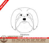 Havanese Dog SVG -  Drawing, Dog Face Portrait SVG
