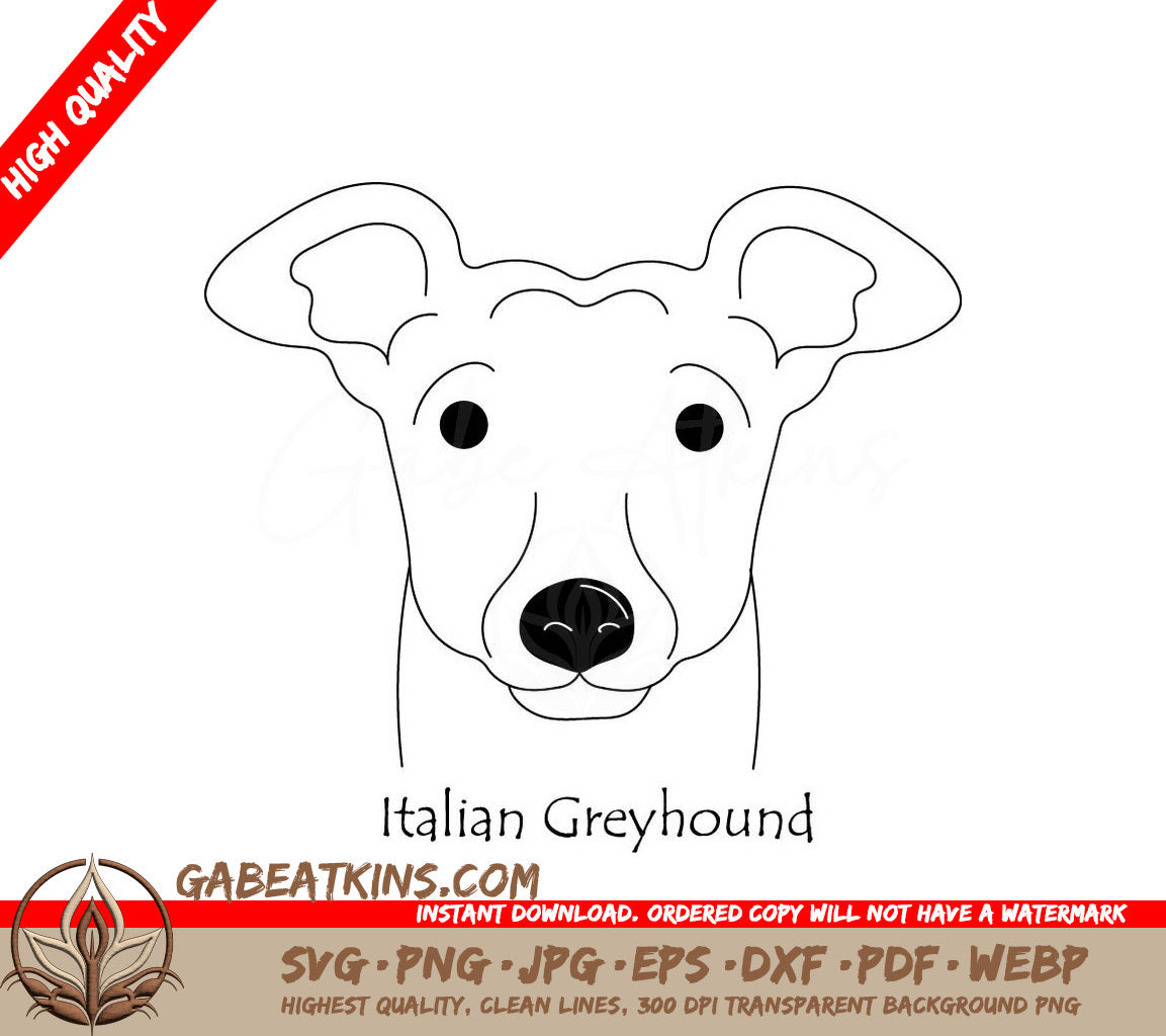 Italian Greyhound Dog Face SVG - Drawing SVG