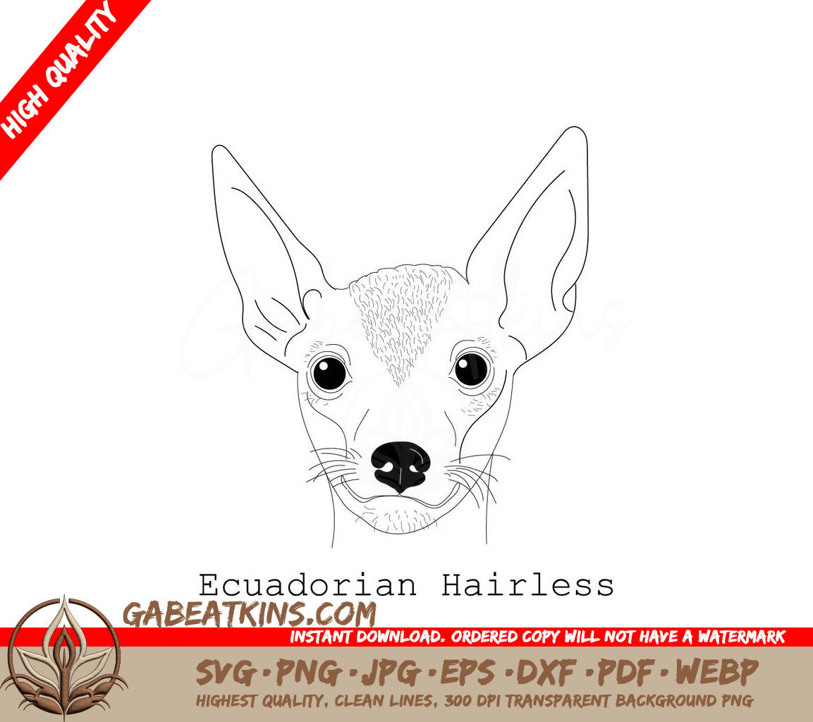 Ecuadorian Hairless Chihuahua SVG - Line Drawing SVG