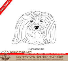Havanese Dog SVG - Outline Drawing SVG