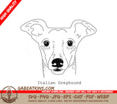 Italian Greyhound Dog SVG -  Outline Drawing SVG