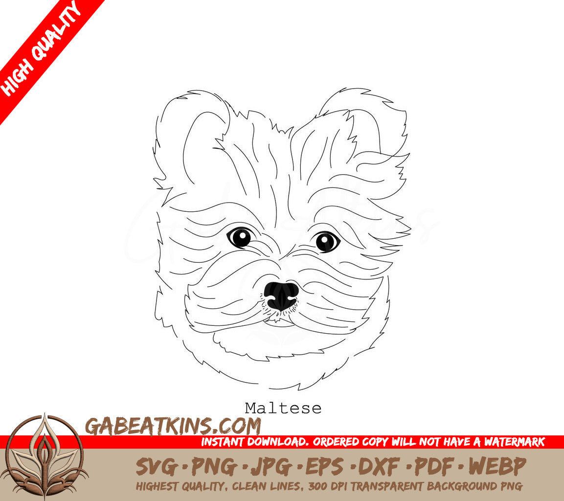 Maltese Dog SVG - Outline Drawing SVG