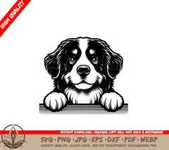 Dreamy Bernese Mountain Dog SVG - Digital Product: SVG, PNG, JPG, AI, PDF, DXF, EPS, WebP