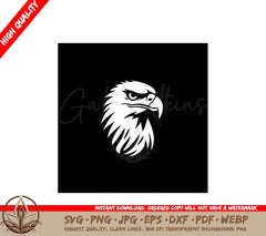 A Picture Of A Bald Eagle On A Black Background