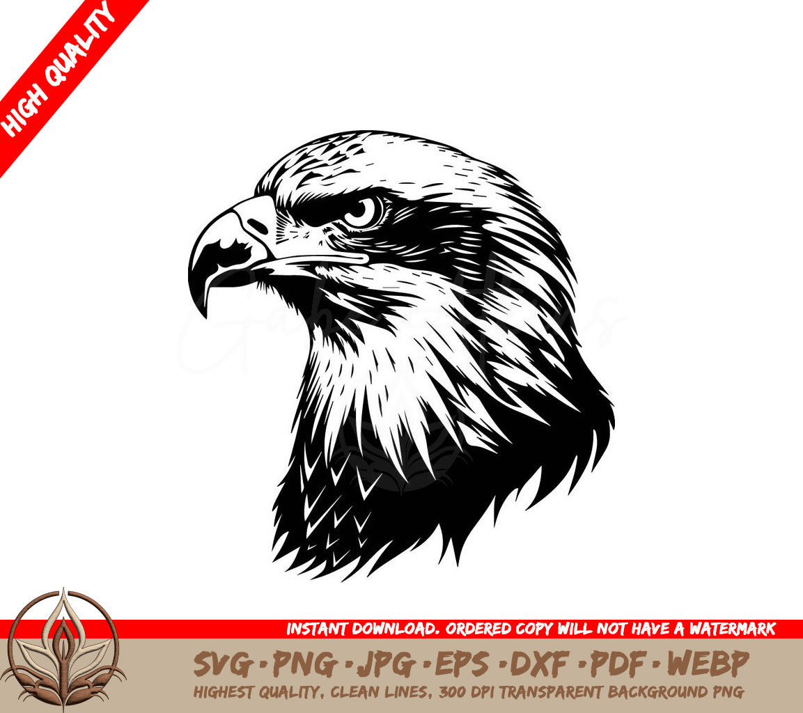 A Black And White Drawing Of An Eagle Head