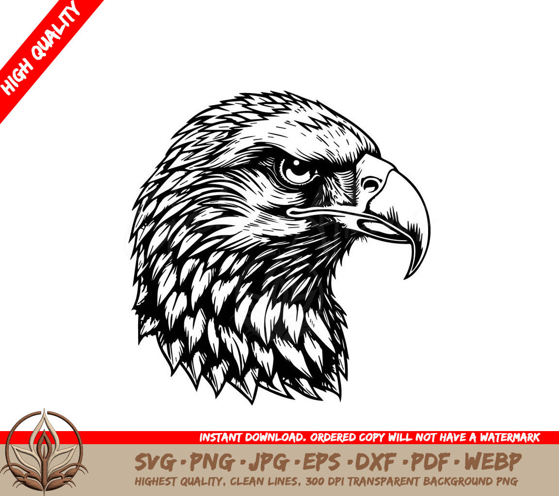 A Black And White Drawing Of An Eagle Head