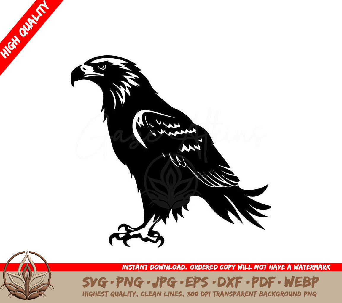 Eagle Silhouette Vector Illustration White Background SVG