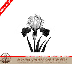 Elegant Iris Bloom Digital Product in SVG