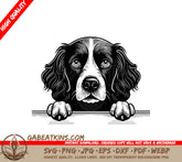 Cocker Spaniel Peeking Over Wall SVG - English Springer Spaniel SVG