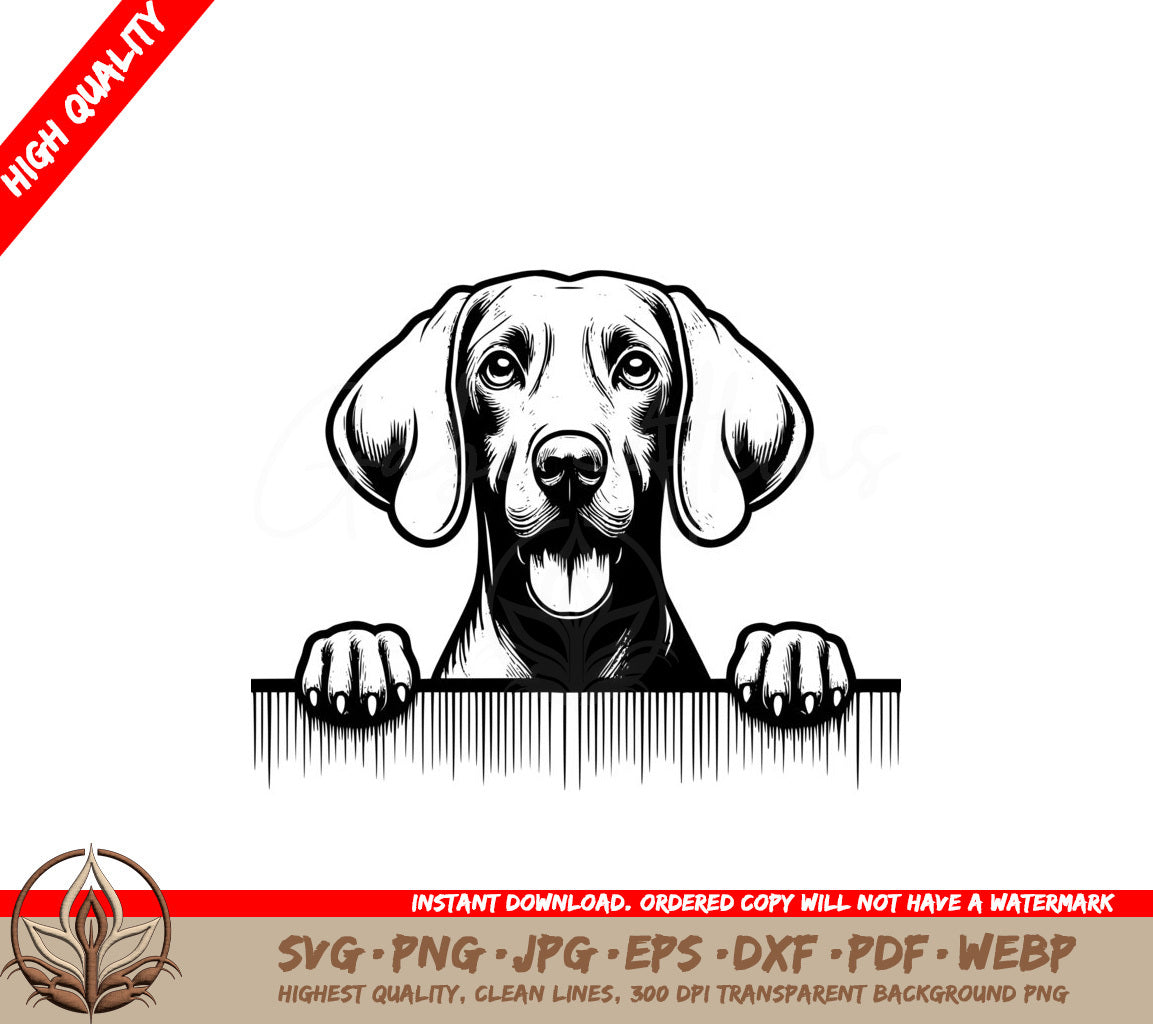 Fence Peeking Weimaraner SVG