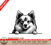 Finnish Spitz Peeking Over Wall -  Dog SVG SVG