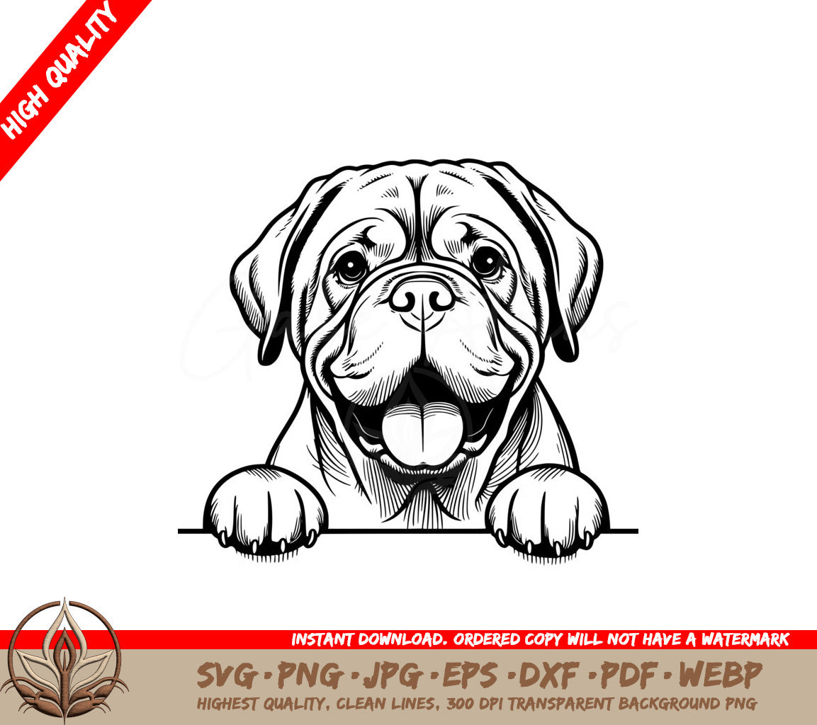 Friendly Dogues De Dordeaux SVG - Digital Product in Multiple Formats