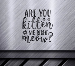 Are You Kitten Me Right Meow Funny Cat SVG Design - SVG