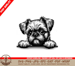 Fuzzy Faced Brussels Griffon SVG