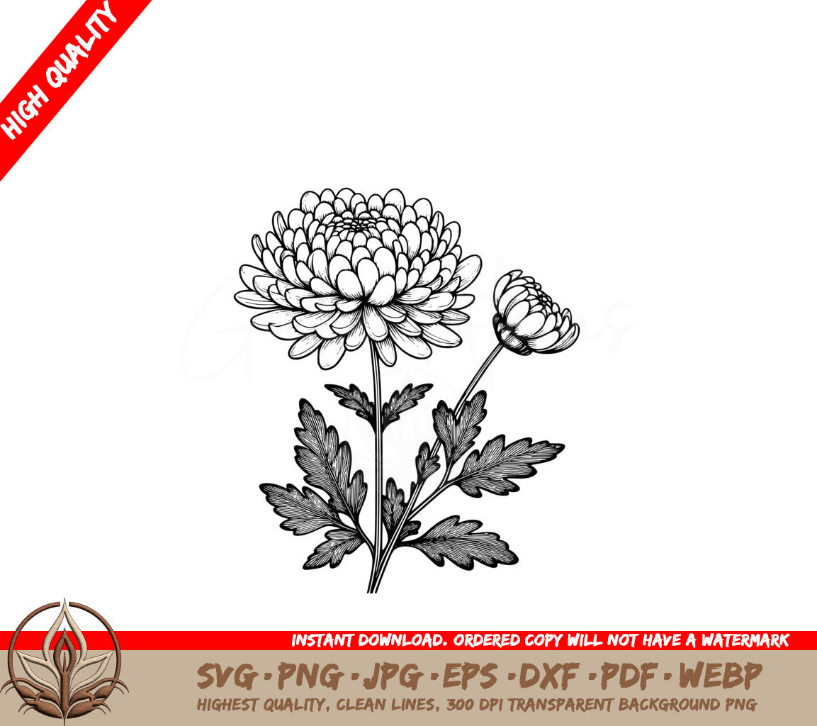 Gentle Chrysanthemum SVG - Digital Art in Various File Formats