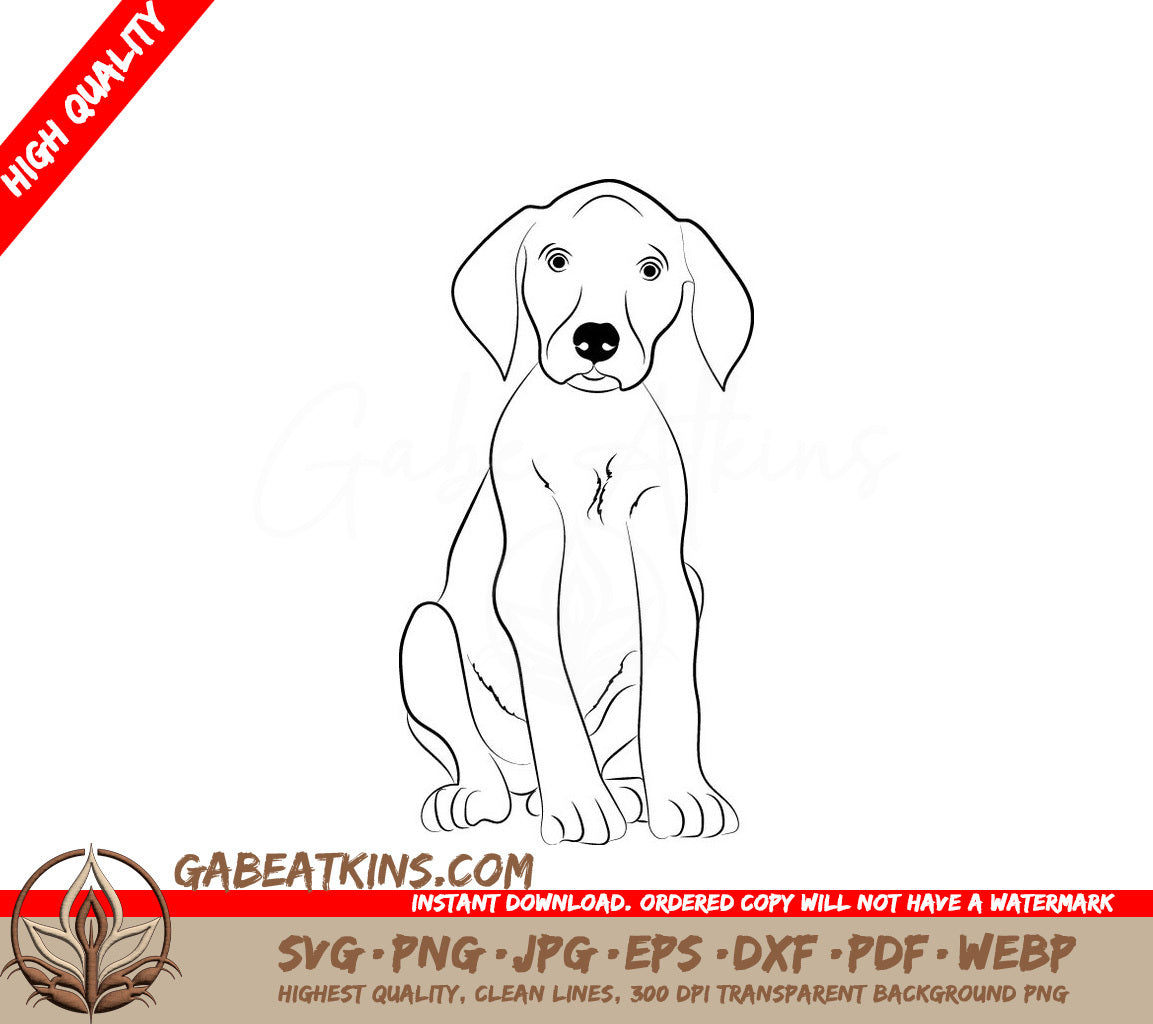 German Shorthaired Pointer Puppy Sitting SVG - Drawing SVG