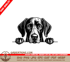 German Shorthaired Pointer Peeking Over Wall SVG - Drawing SVG