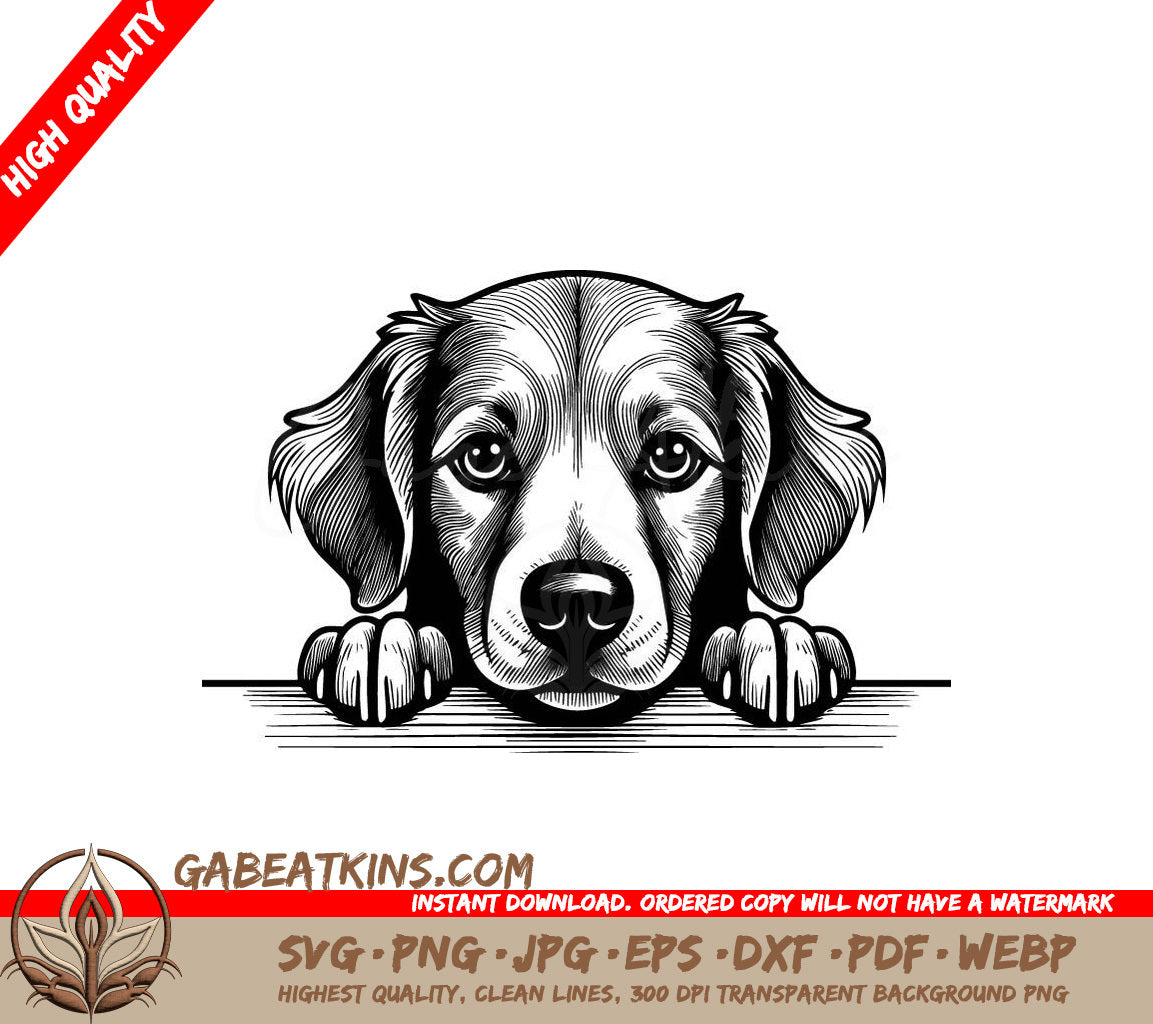 Golden Retriever Peeking Over Table SVG - Drawing SVG