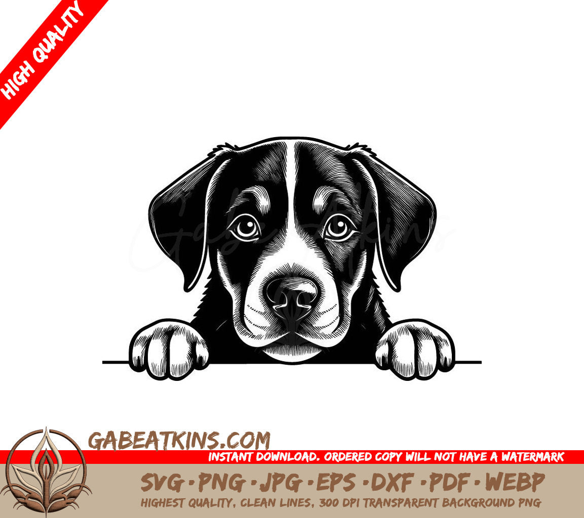 Greater Swiss Mountain Dog Peeking Over Wall - SVG Drawing SVG
