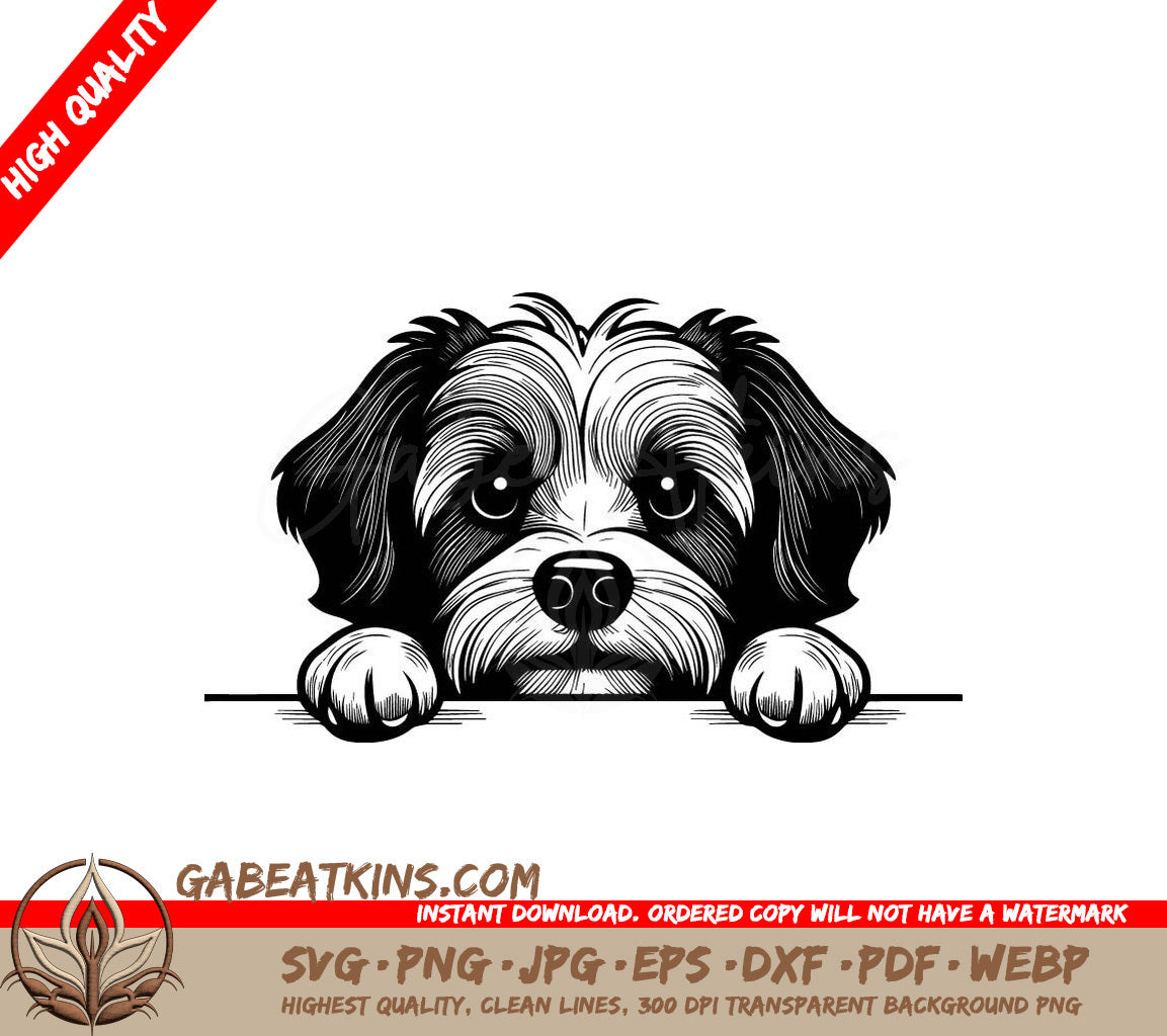 Havanese Peeking SVG With Its Paws in Front