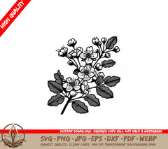Hawthorn Blossom Branch SVG - Digital product file with multiple formats