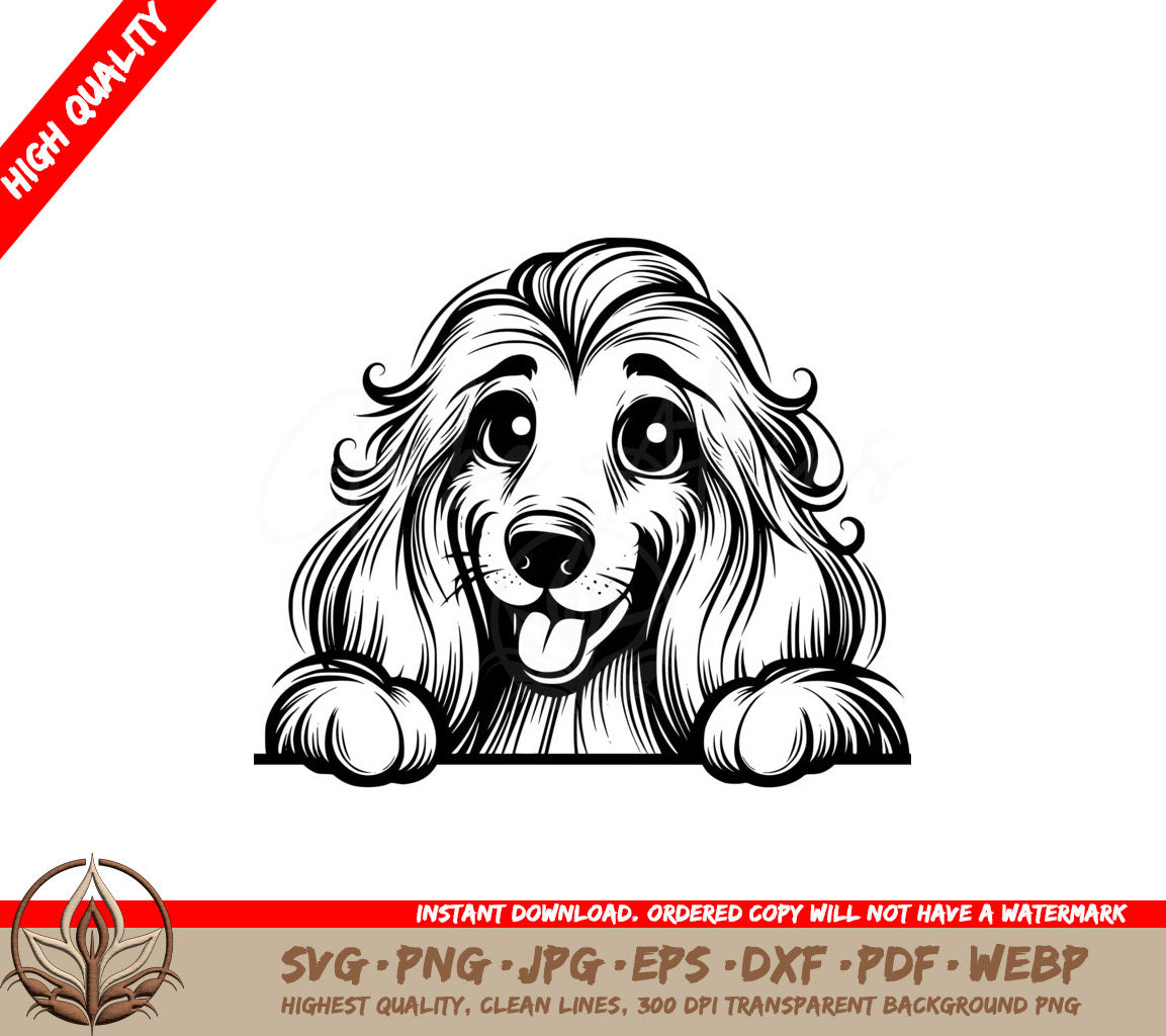 Hide-and-seek Afghan Hound in SVG