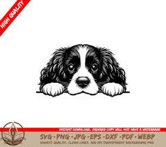 Hide-and-seek Springer Spaniel Digital Product in SVG