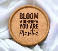 Bloom Where You Are Planted SVG - Inspirational Quote Poster SVG