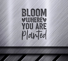 Bloom Where You Are Planted SVG - Inspirational Quote Poster SVG