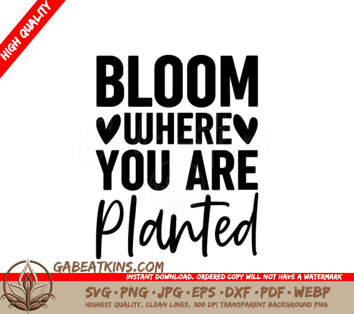 Bloom Where You Are Planted SVG - Inspirational Quote Poster SVG