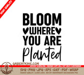 Bloom Where You Are Planted SVG - Inspirational Quote Poster SVG