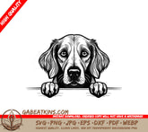 Irish Setter Dog Looking Over Wall SVG SVG