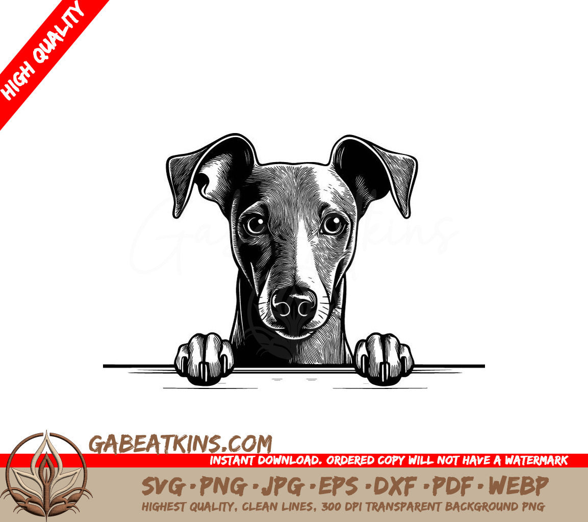 Italian Greyhound Peeking Over Wall - SVG SVG