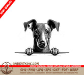 Italian Greyhound Peeking Over Wall -  SVG SVG