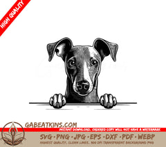 Italian Greyhound Peeking Over Wall - SVG SVG