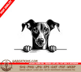 Italian Greyhound Looking Over Wall SVG -  Dog Drawing SVG