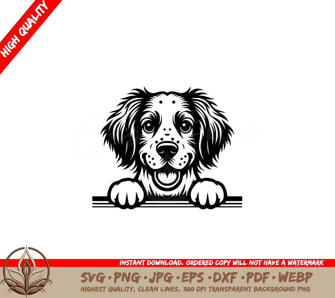 Joyful Brittany Spaniel Grin SVG - Digital Product in various file formats