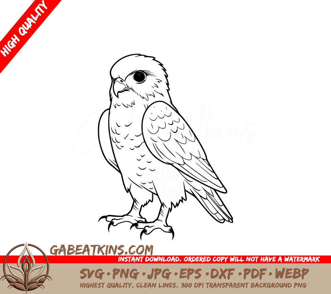 A Bird With Sharp Claws SVG - Kestrel Bird Perched SVG