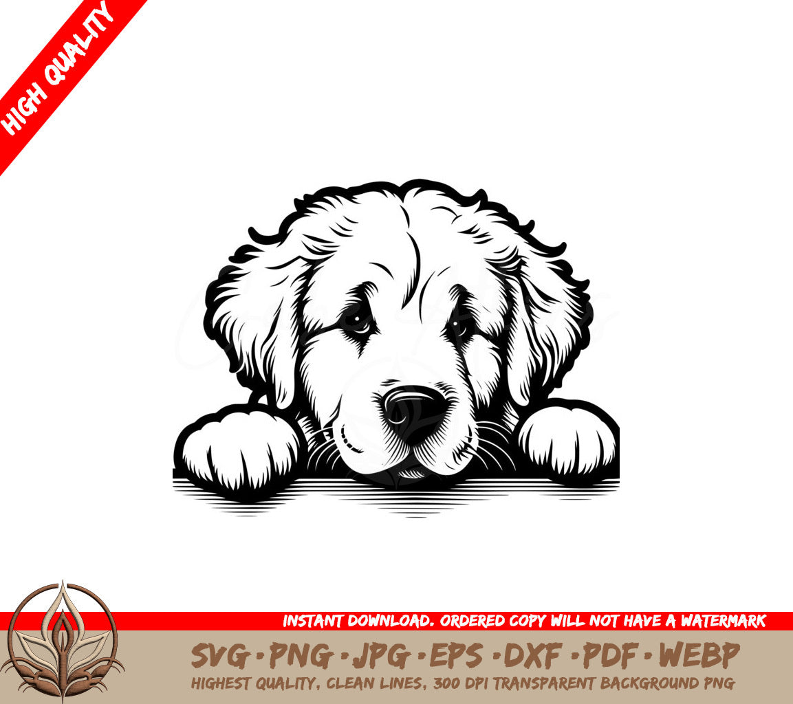 Kuvasz Paws and Relaxation SVG PNG JPG AI PDF DXF EPS WebP