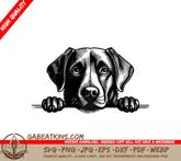 Labrador Retriever Dog Peeking Over Wall SVG SVG