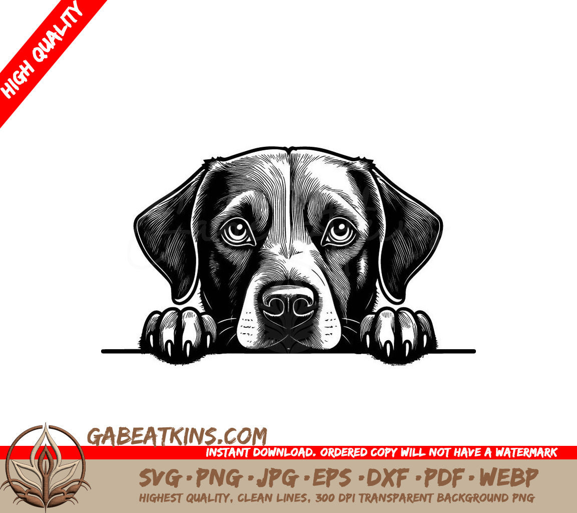 Labrador Retriever Peeking Over Wall SVG SVG