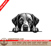Labrador Retriever Peeking Over Wall SVG SVG