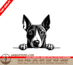 Miniature Bull Terrier Peeking Over Wall SVG - Drawing SVG