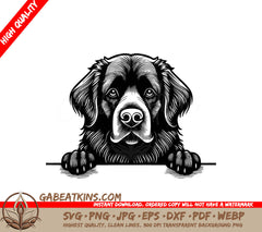 Newfoundland Dog Wall Peeking SVG SVG