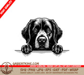 Newfoundland Dog Peeking Over Wall  SVG SVG