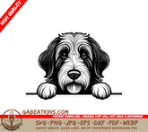 Old English Sheepdog Wall Peeking SVG SVG