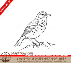 A Small Bird Perched On A Rock SVG - Peaceful Bird SVG
