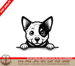 Peekaboo Australian Cattle Dog SVG