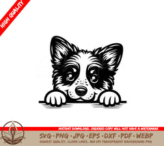 Peekaboo Australian Cattle Pup SVG - Digital Product File